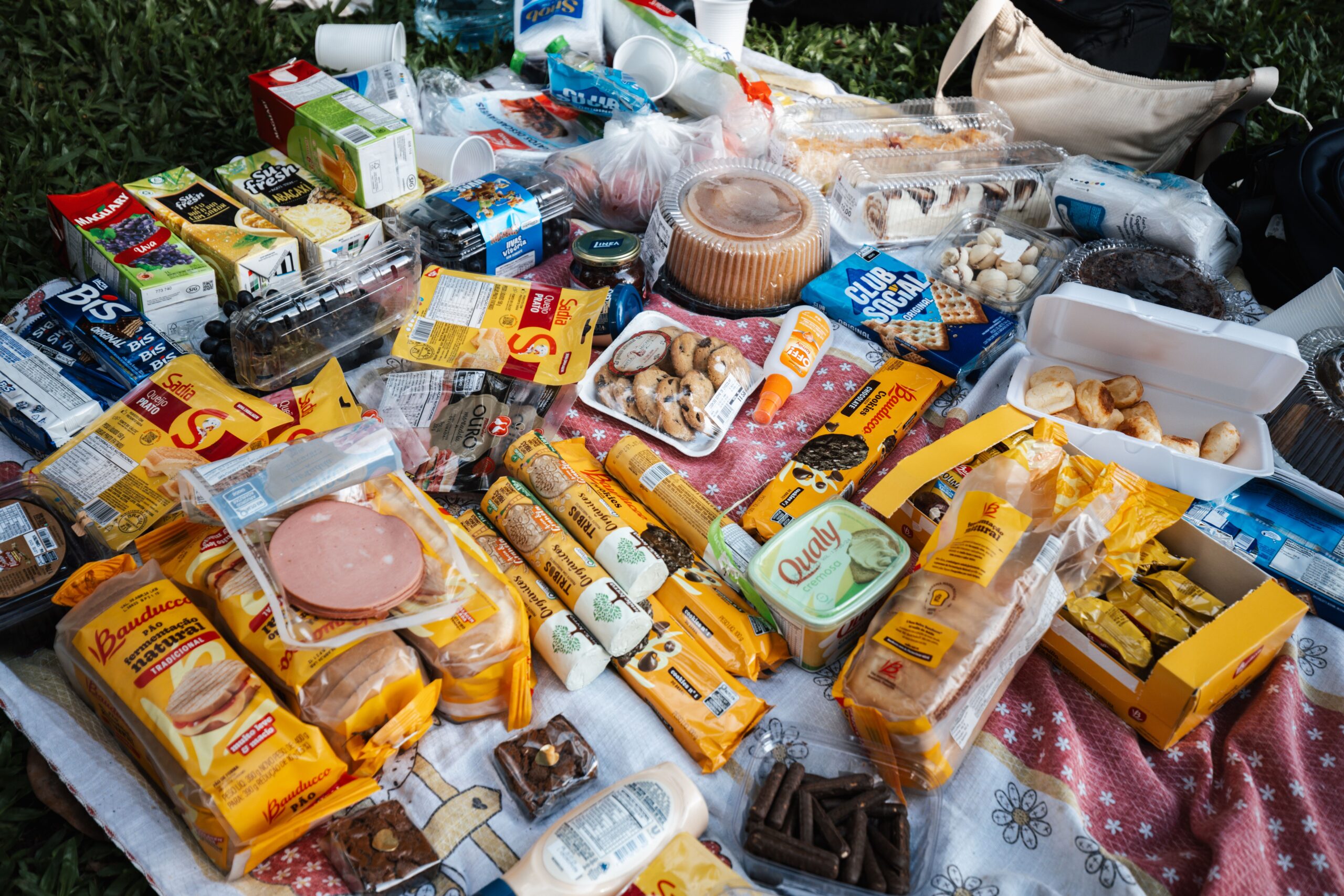 Top view of a picnic setup with diverse snacks, cookies, juices, and packaged foods on a blanket.